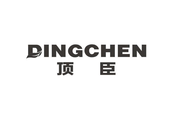 顶臣