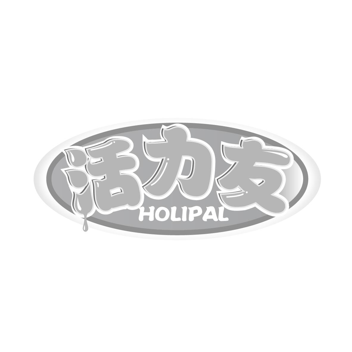 活力友
HOLIPAL