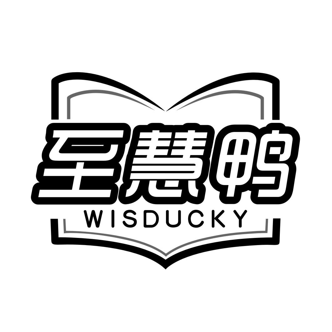 至慧鸭WISDUCKY