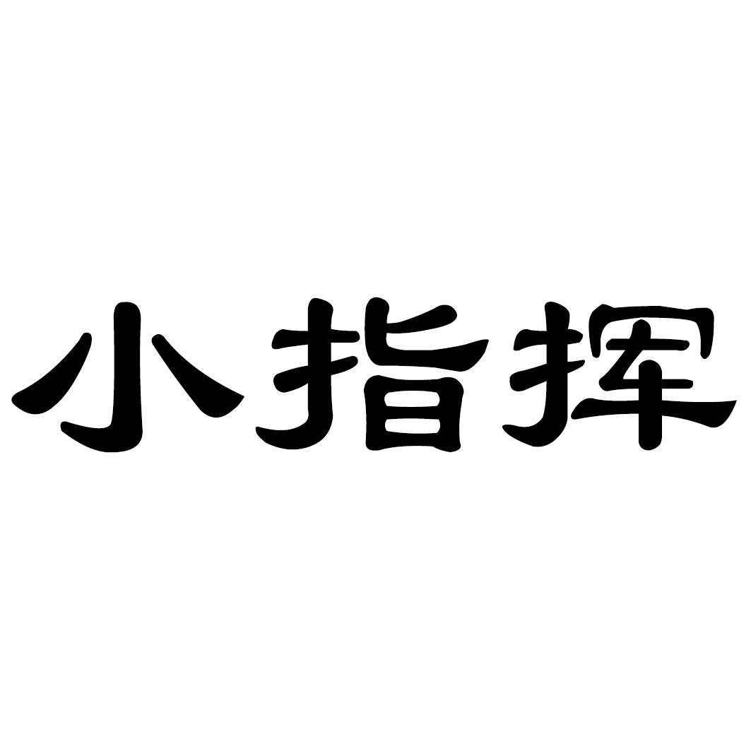 小指挥