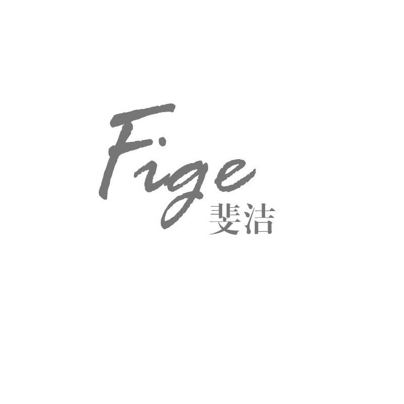 斐洁 FIGE
