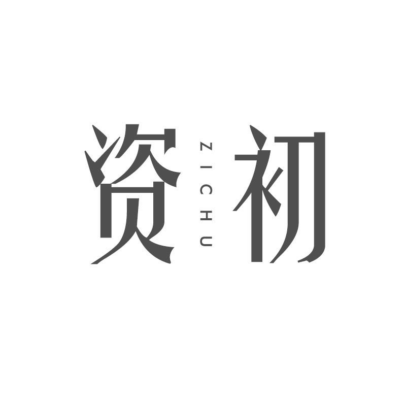 资初
