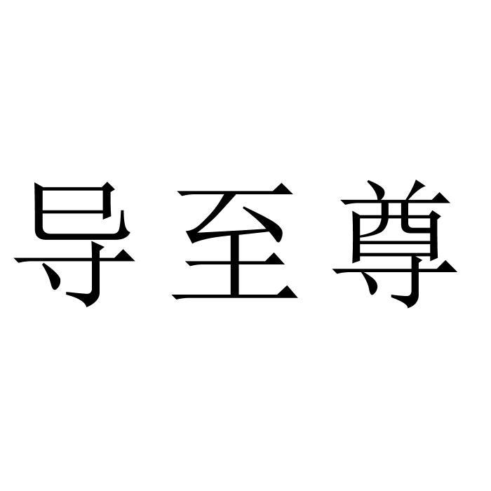 导至尊