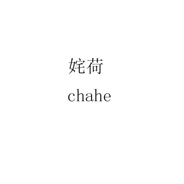 姹荷 chahe