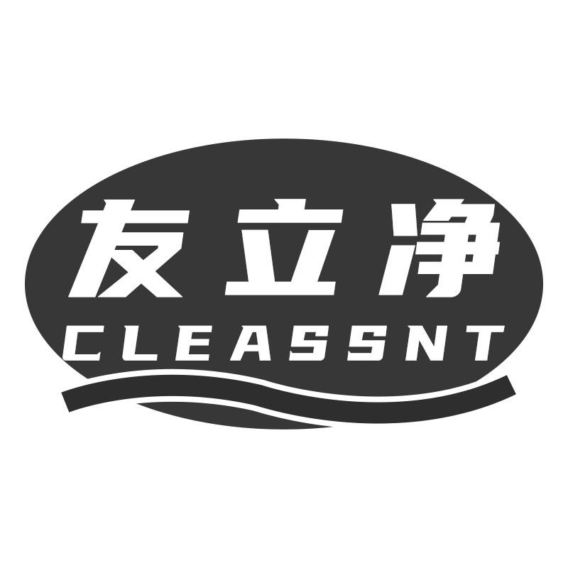 友立净CLEASSNT