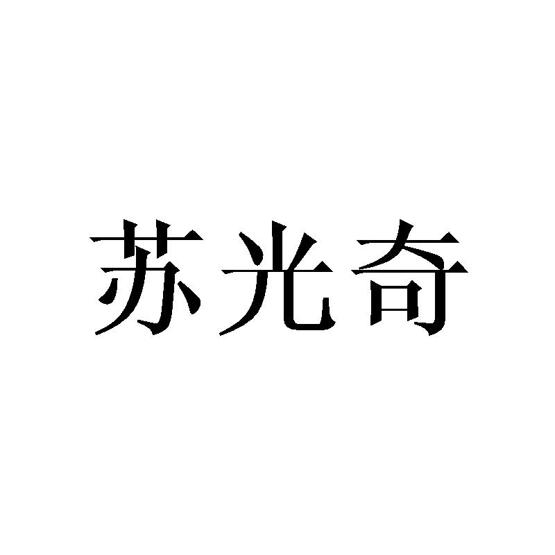 苏光奇