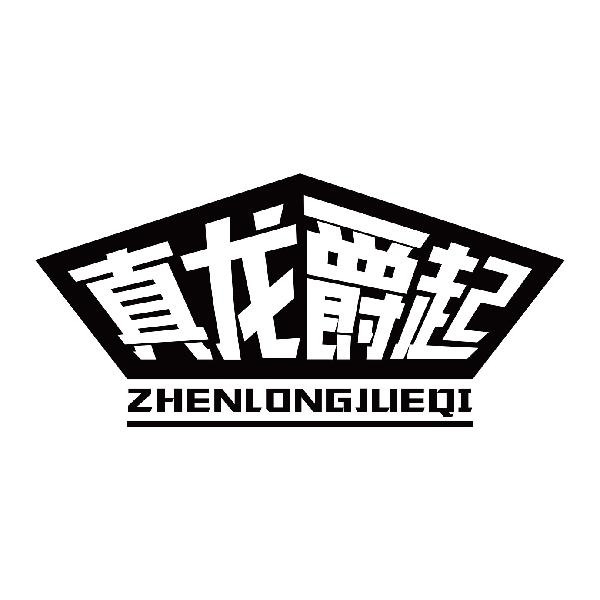 真龙爵起
zhenlongjueqi