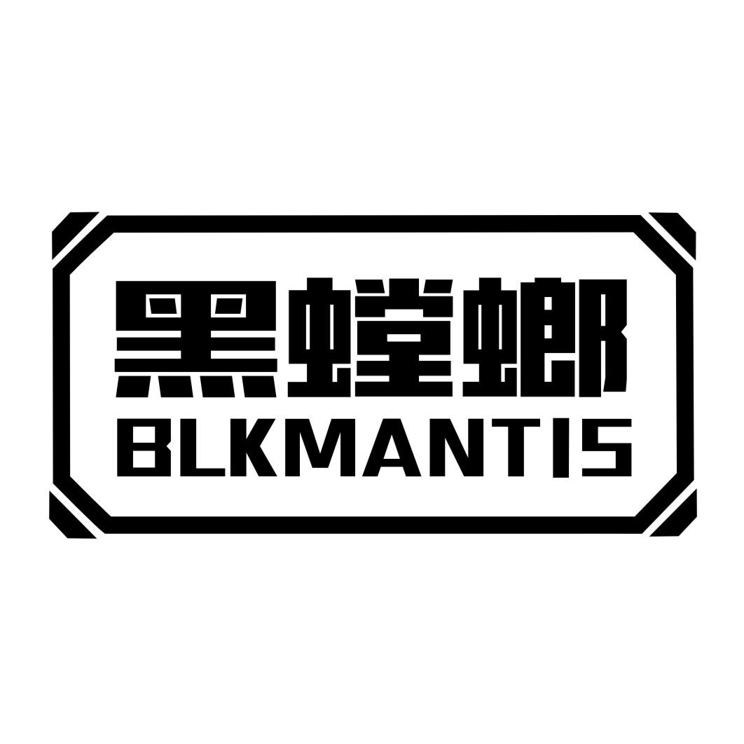 黑螳螂BLKMANTIS