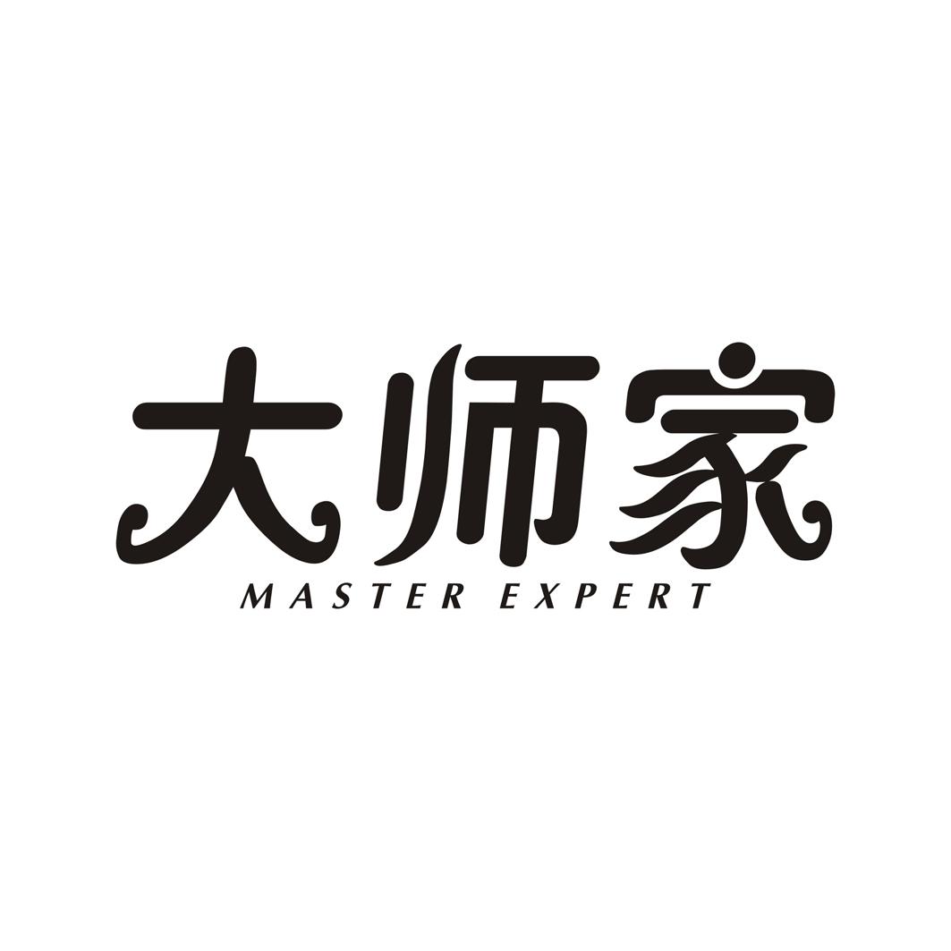 大师家MASTER EXPERT