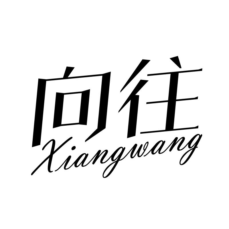 向往