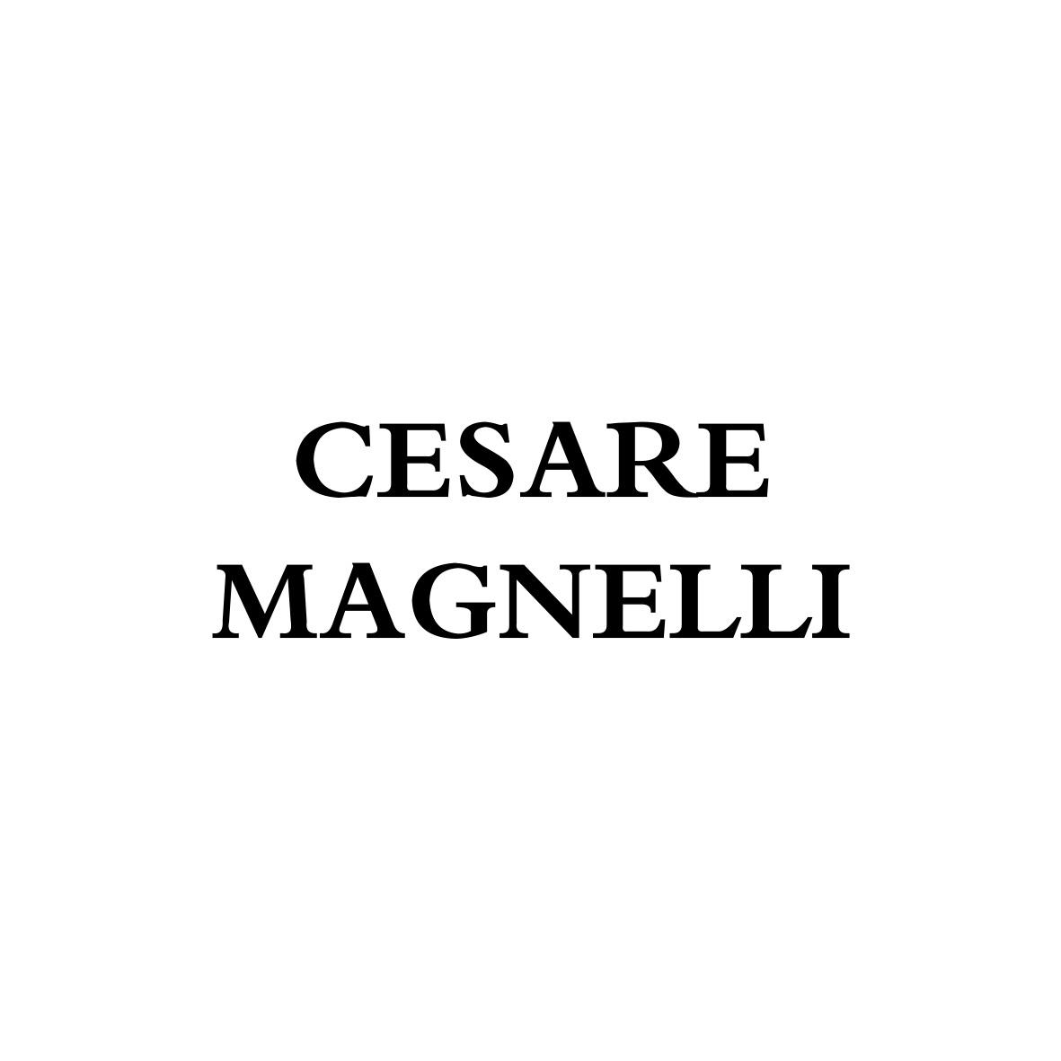 CESARE MAGNELLI