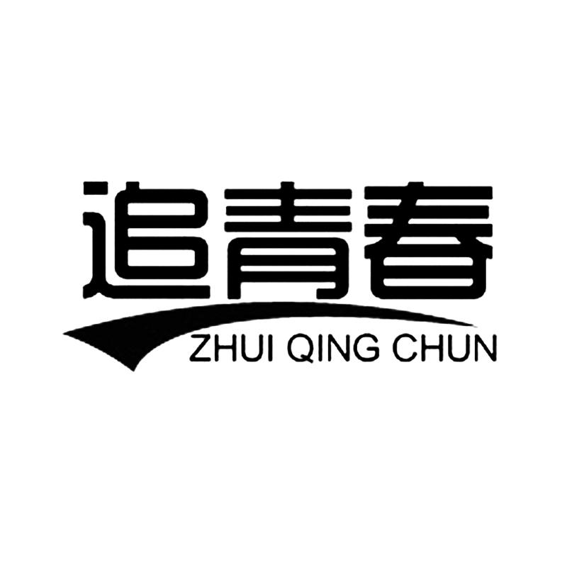 追青春+拼音