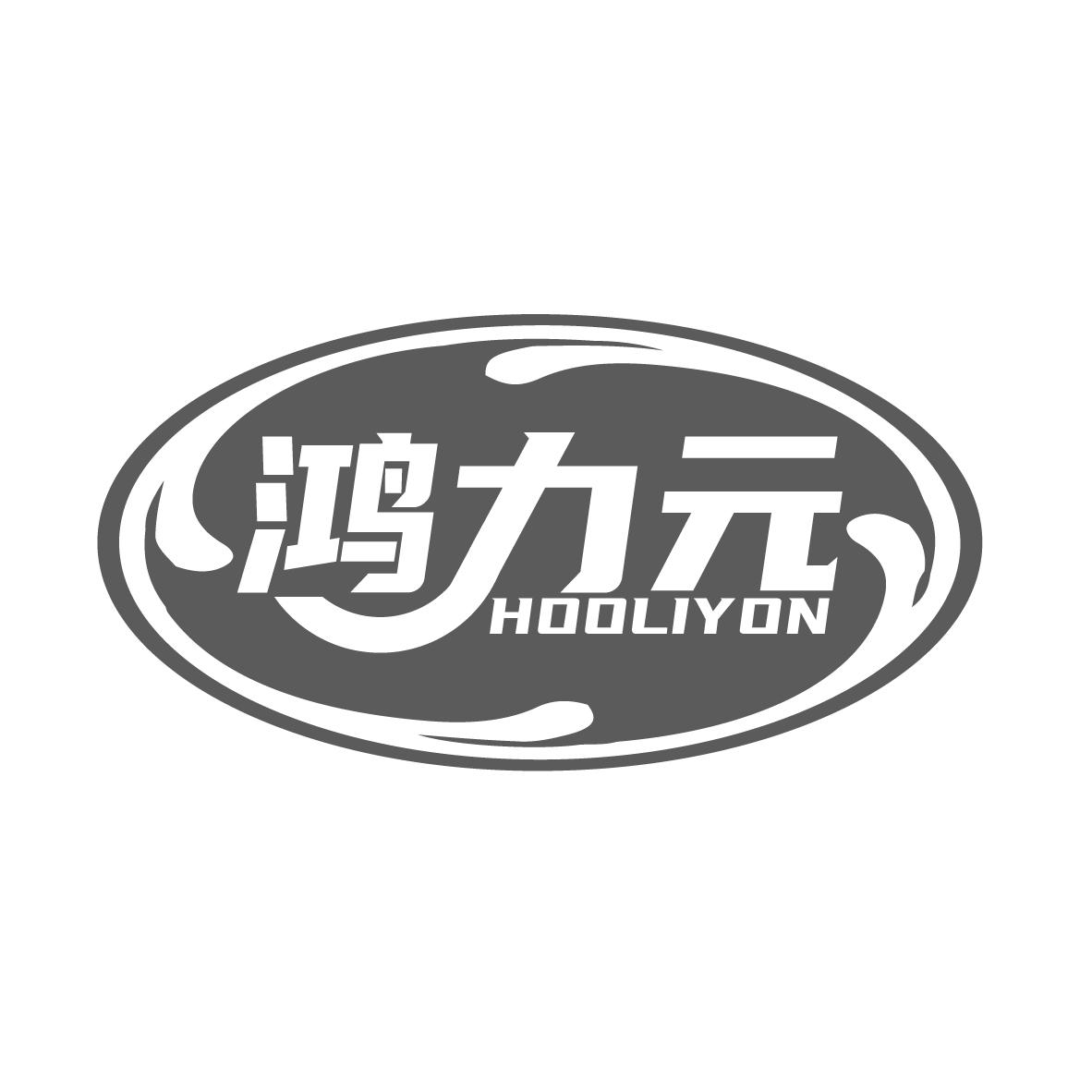 鸿力元
HOOLIYON