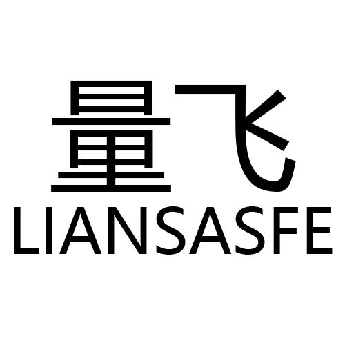 量飞   LIANSASFE
