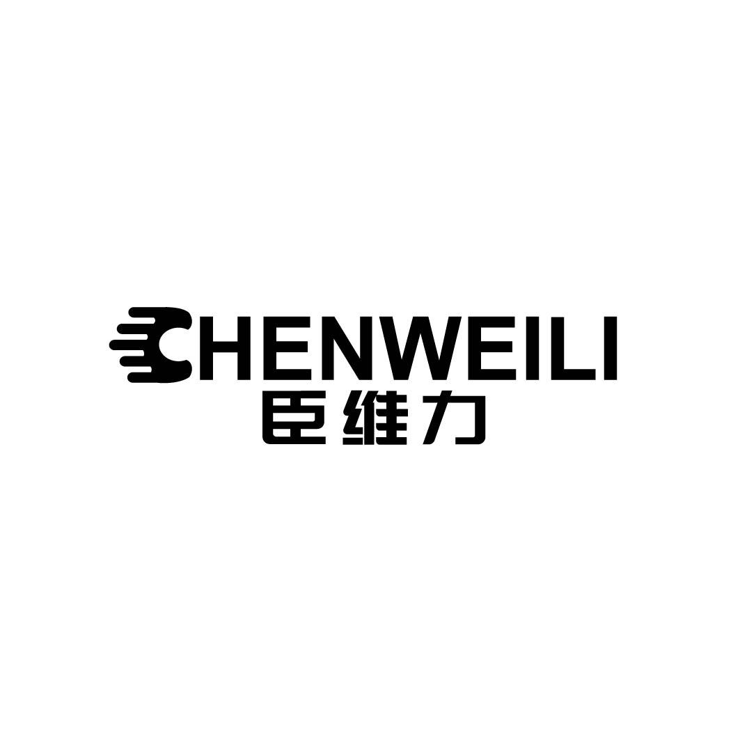臣维力