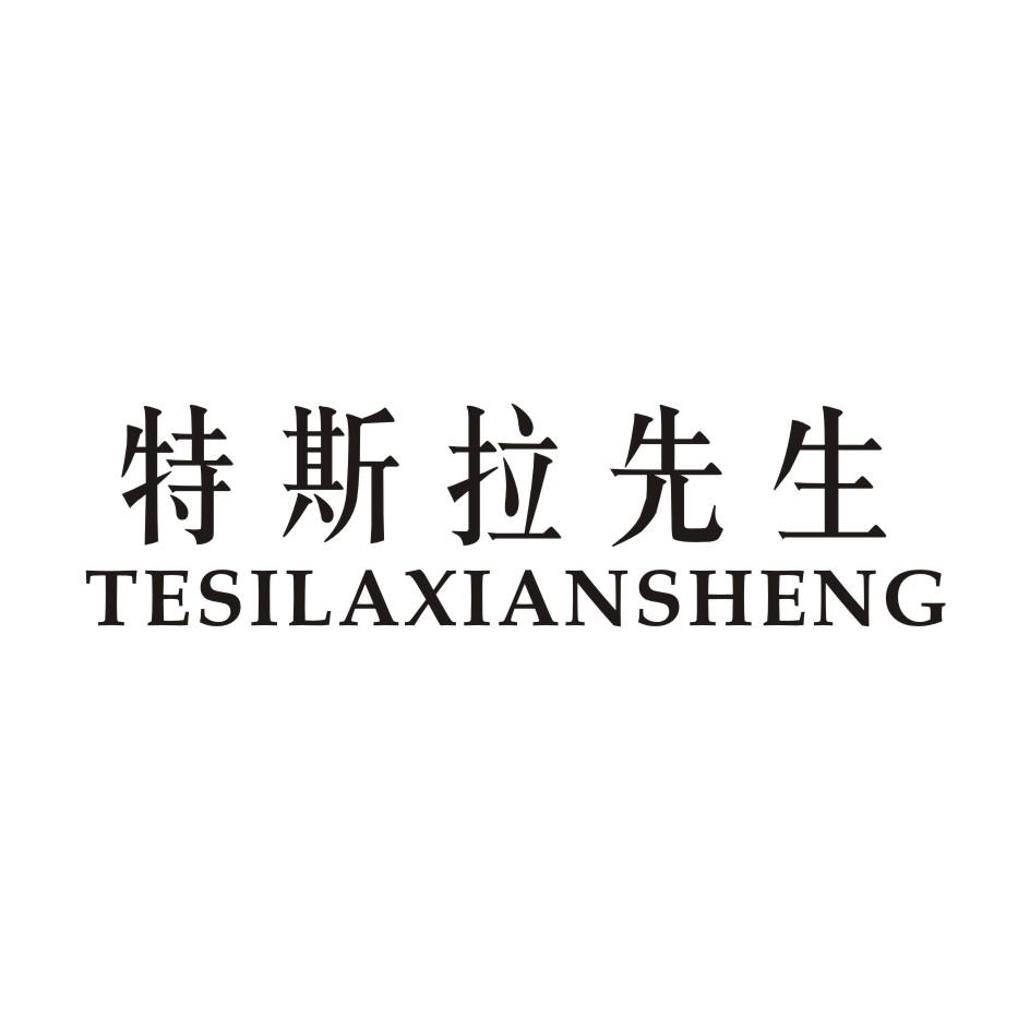 特斯拉先生 TESILAXIANSHENG