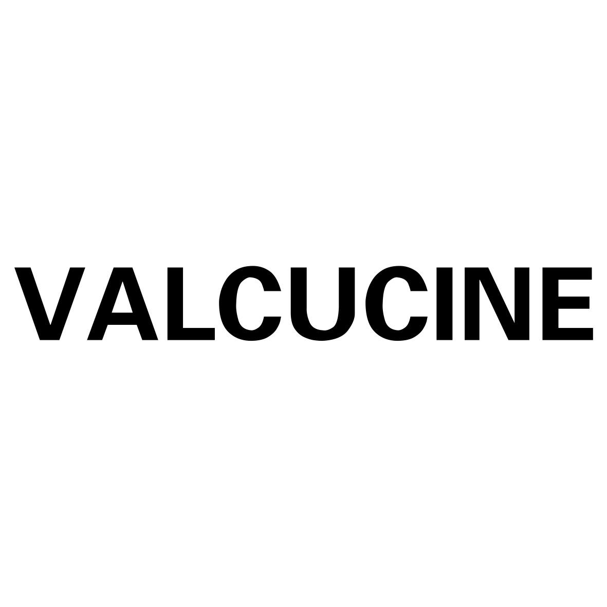  VALCUCINE