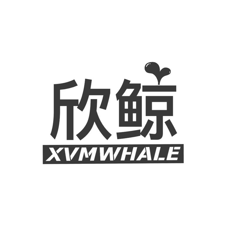 欣鲸 XVMWHALE