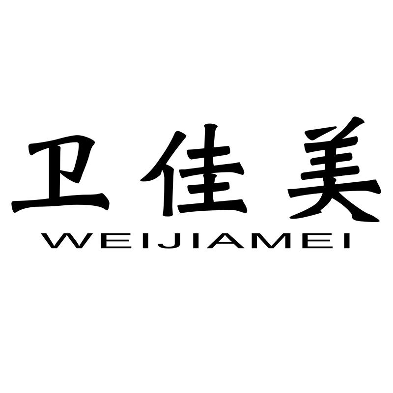 卫佳美