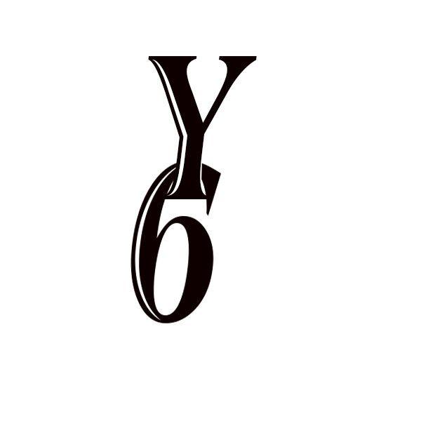 Y6