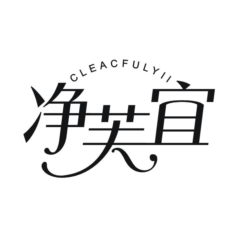 净芙宜 CLEACFULYII
