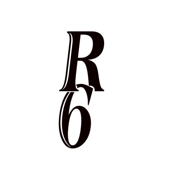  R6