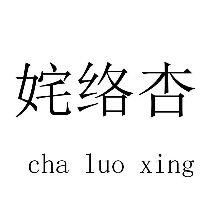 姹络杏chaluoxing