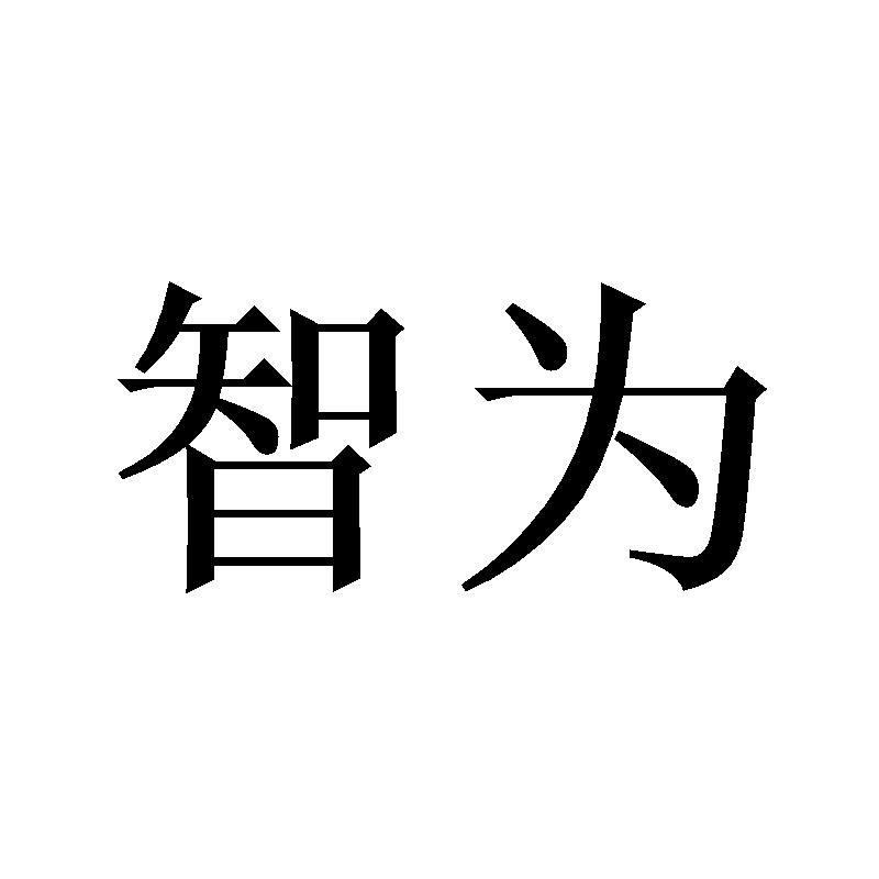 智为