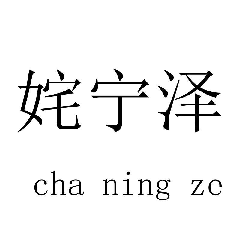 姹宁泽chaningze