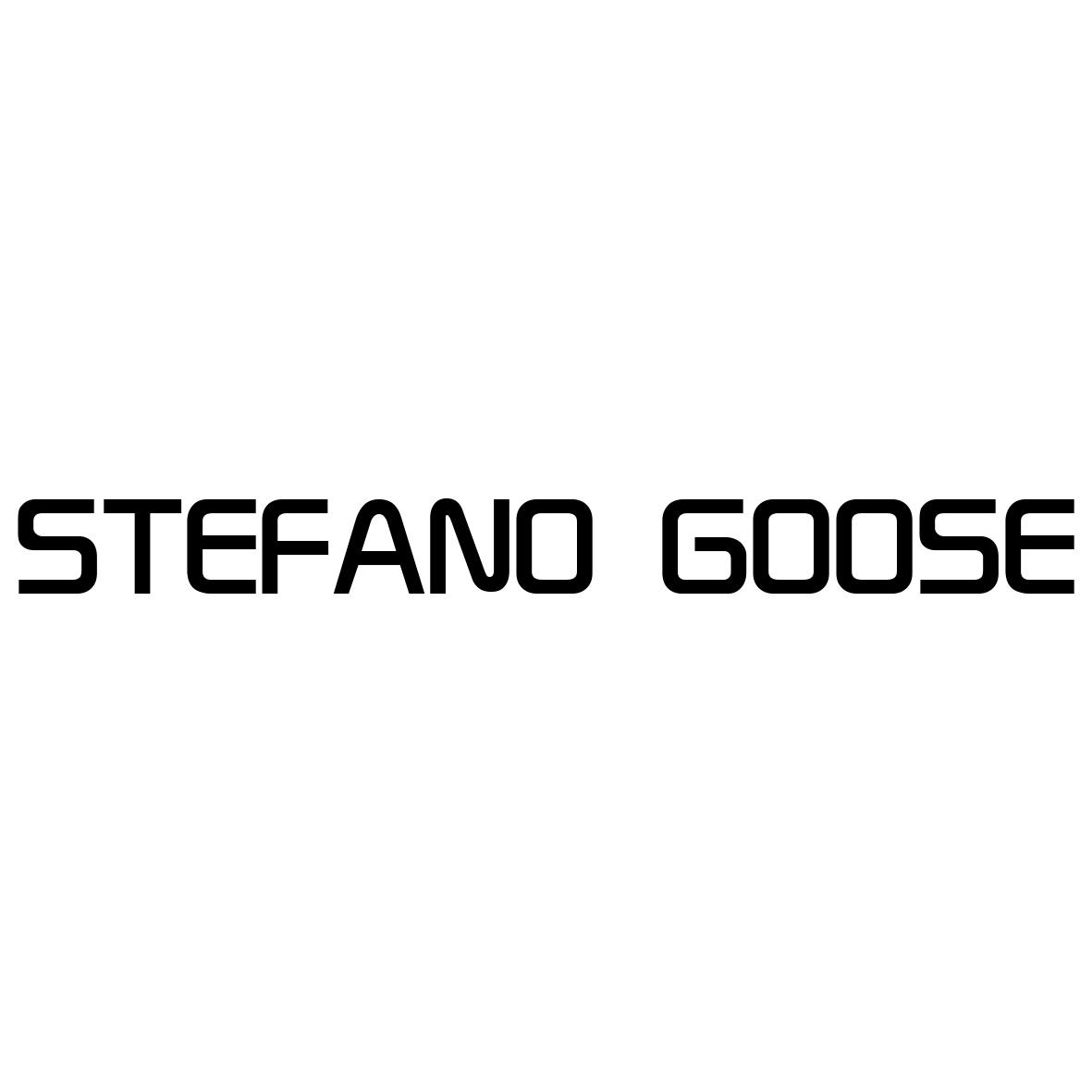 STEFANO GOOSE