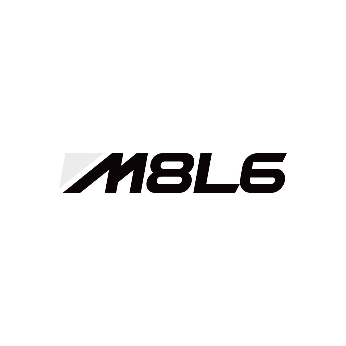 M8L6