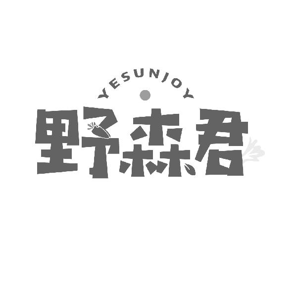 野森君
YESUNJOY