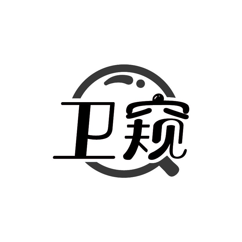 卫窥