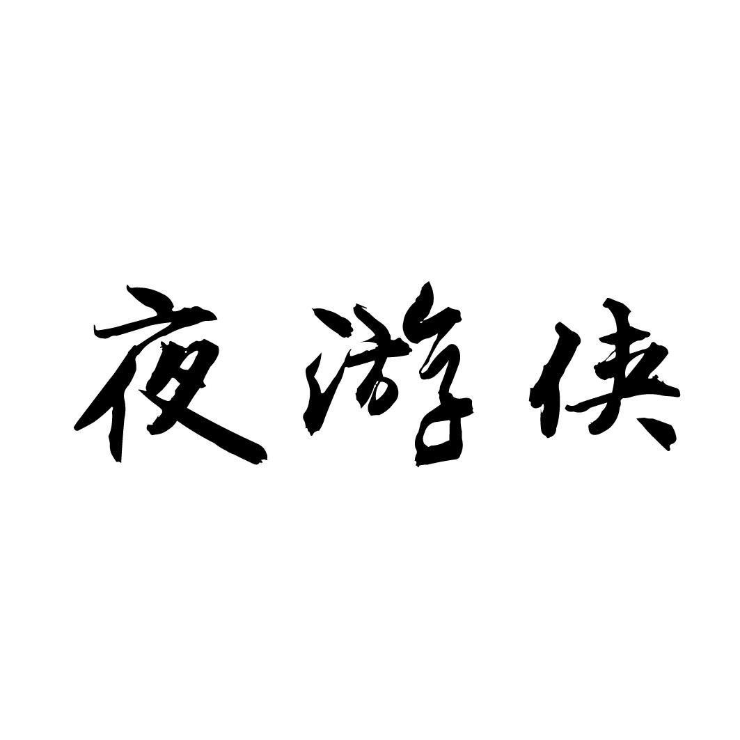 夜游侠