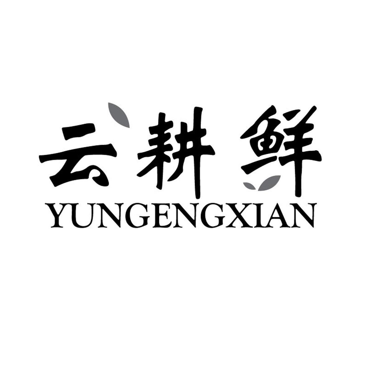 云耕鲜