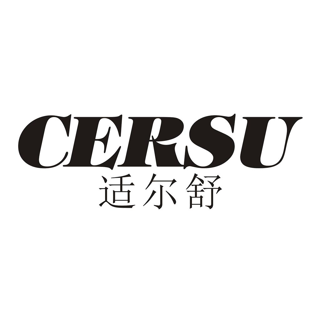 适尔舒 