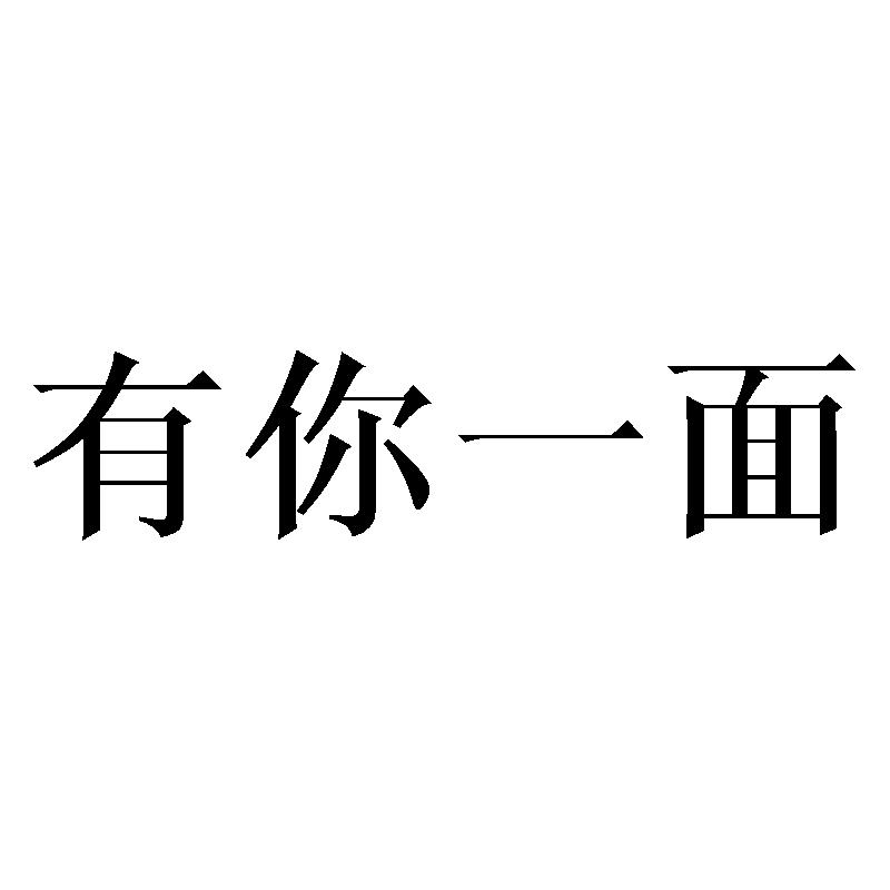 有你一面