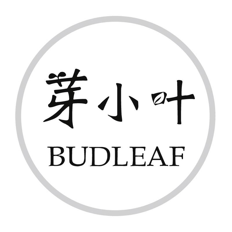 芽小叶BUDLEAF