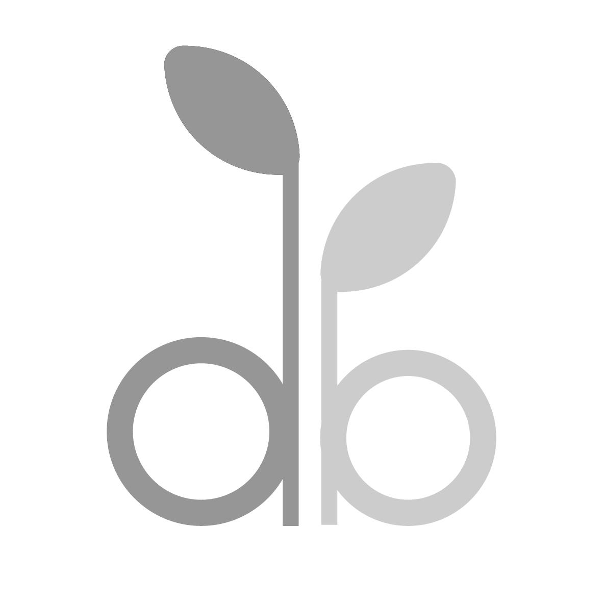 
DB