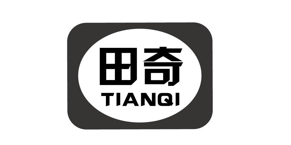 田奇+TIANQI