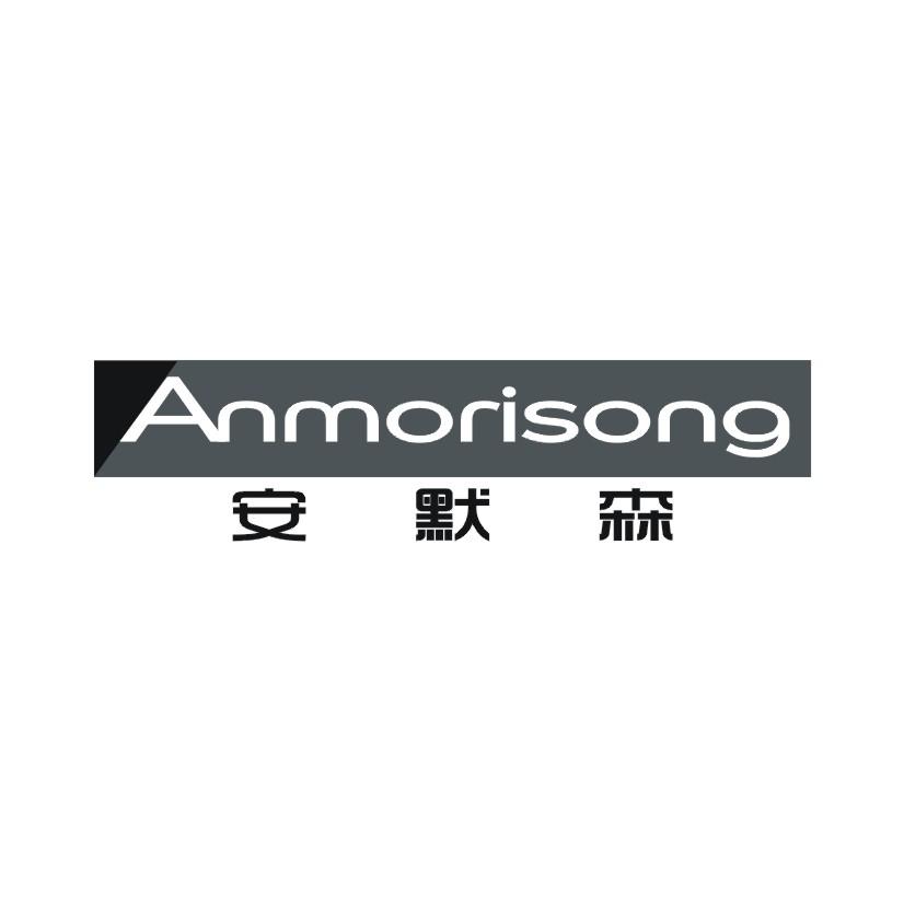 安默森 ANMORISONG