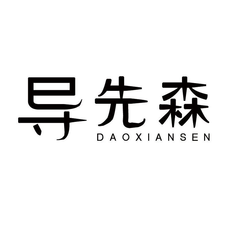 导先森