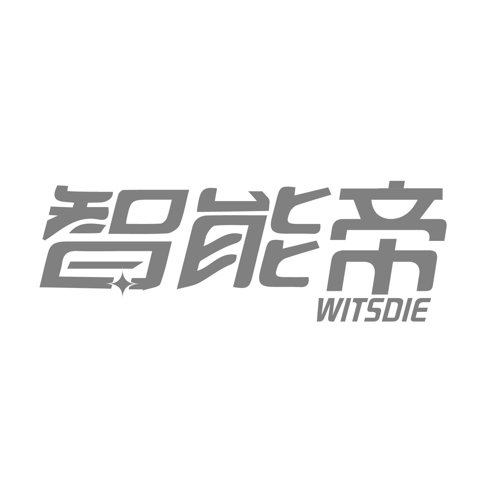 智能帝
WITSDIE