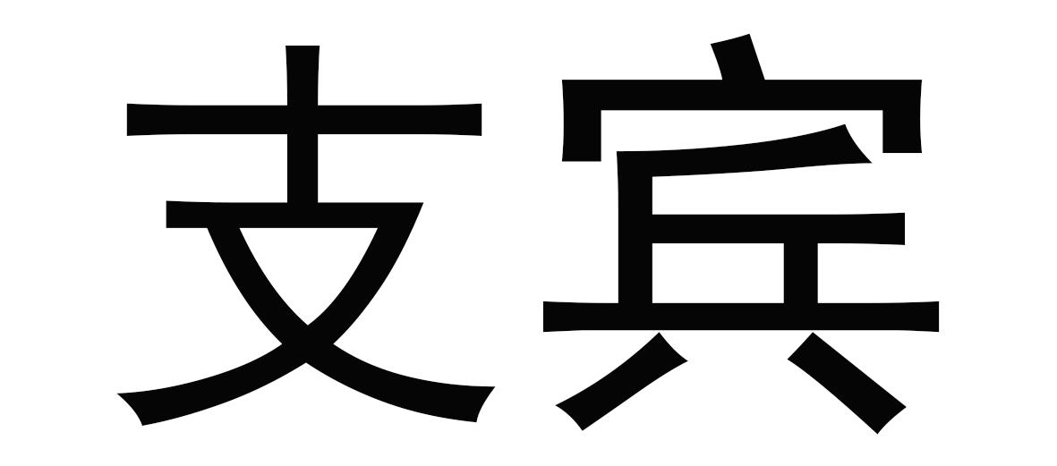 支宾