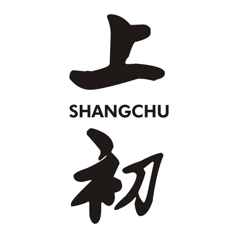 上初