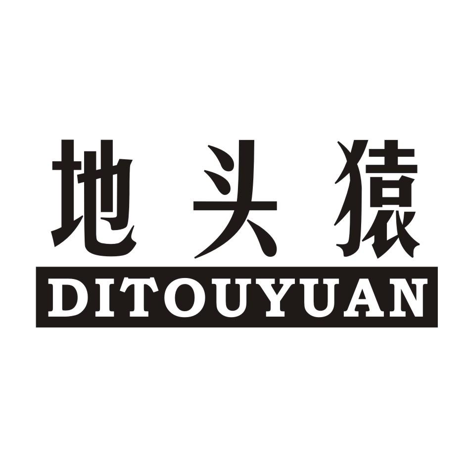 地头猿 DITOUYUAN