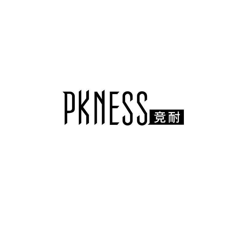 竞耐
pkness