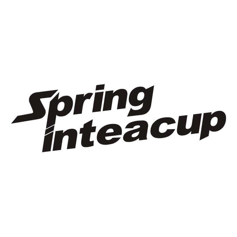 SPRING INTEACUP