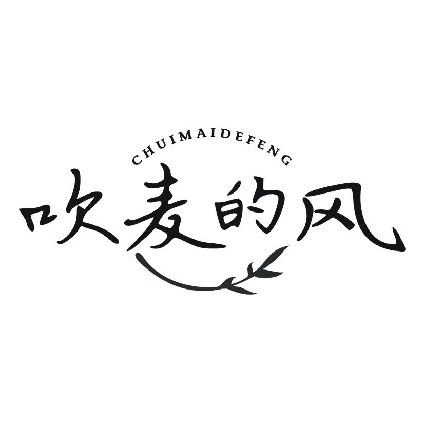 吹麦的风