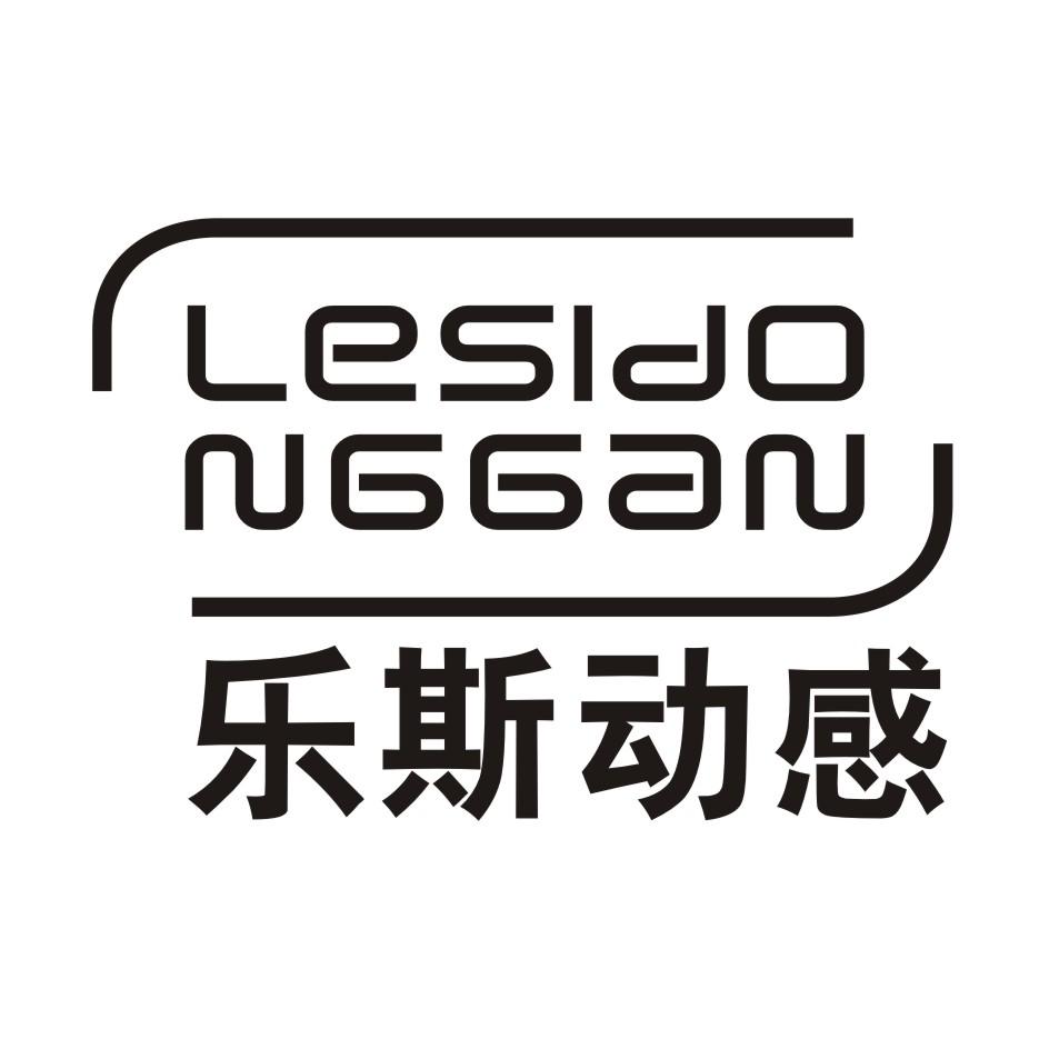 LESIDONGGAN 乐斯动感
